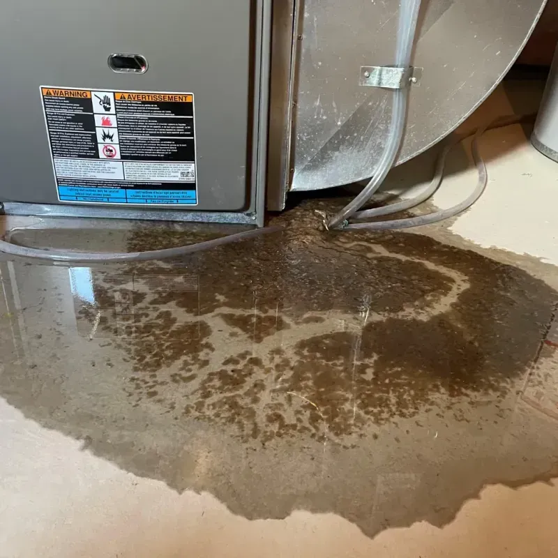 Appliance Leak Cleanup in Brewster, NY